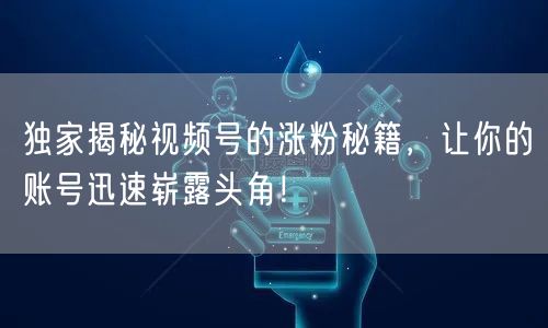 独家揭秘视频号的涨粉秘籍，让你的账号迅速崭露头角！