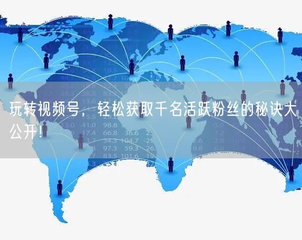 玩转视频号，轻松获取千名活跃粉丝的秘诀大公开！