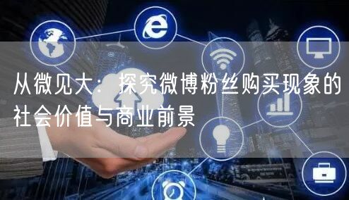 从微见大：探究微博粉丝购买现象的社会价值与商业前景