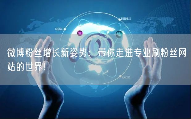 微博粉丝增长新姿势：带你走进专业刷粉丝网