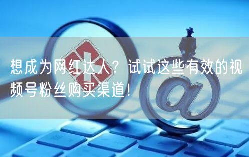 想成为网红达人？试试这些有效的视频号粉丝
