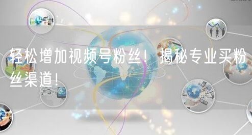 轻松增加视频号粉丝！揭秘专业买粉丝渠道！